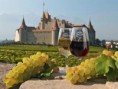 /album/fotogalerij/chateau-d-aigle3-jpg/